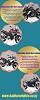 BMW Motorcycle Hire NZ