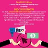 Top SEO Sydney - One of the Renowned SEO Experts in Sydney