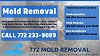 Removing Mold Port St. Lucie