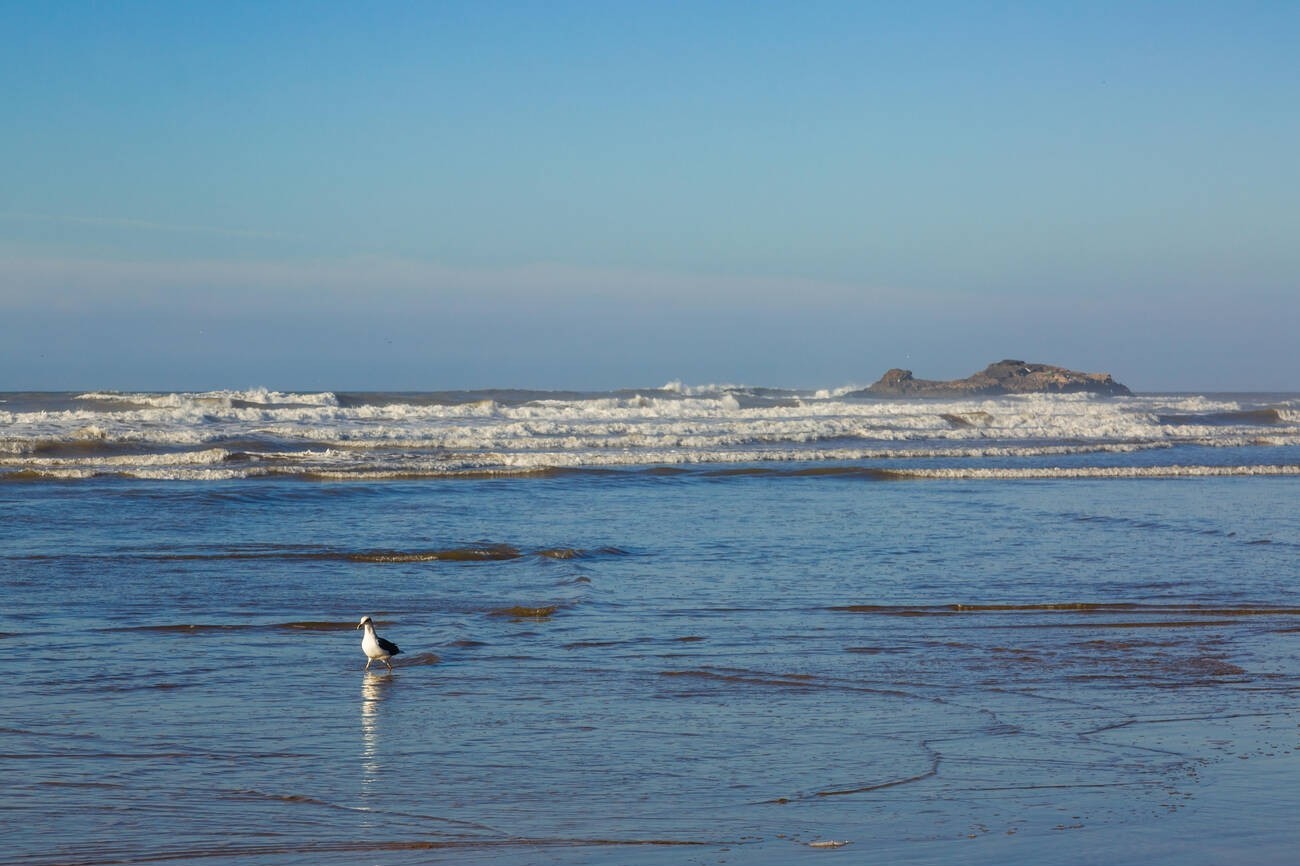 Morocco Package Tour