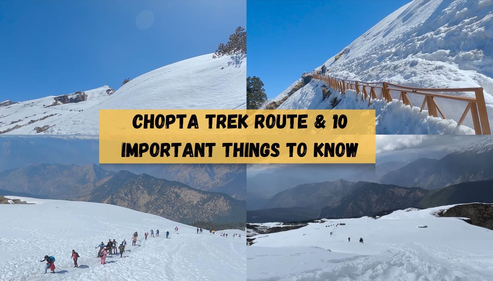 Chopta Chronicles: Trekking Tales & Top Tips