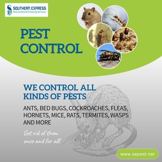 Southern Express Pest Control & Cleaning Services