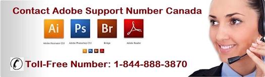 Get Quick Technical Support for Adobe Issues