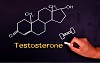 Testosterone xl Protocol Review - Support Testosterone Naturally - The Best Herbs to Increase Testos