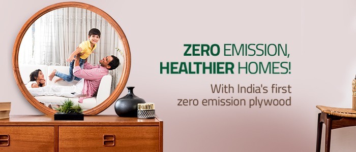Pioneering Zero Emission Plywood for a Sustainable Future
