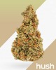 $89 Ounces | Top-Shelf Cannabis Products at Affordable Prices