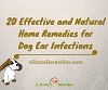 20 Effective and Natural Home Remedies for Dog Ear Infections