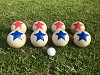 Deluxe 8 Wooden Ball Bowls Bocce Game Set