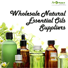 Wholesale natural essential oils suppliers