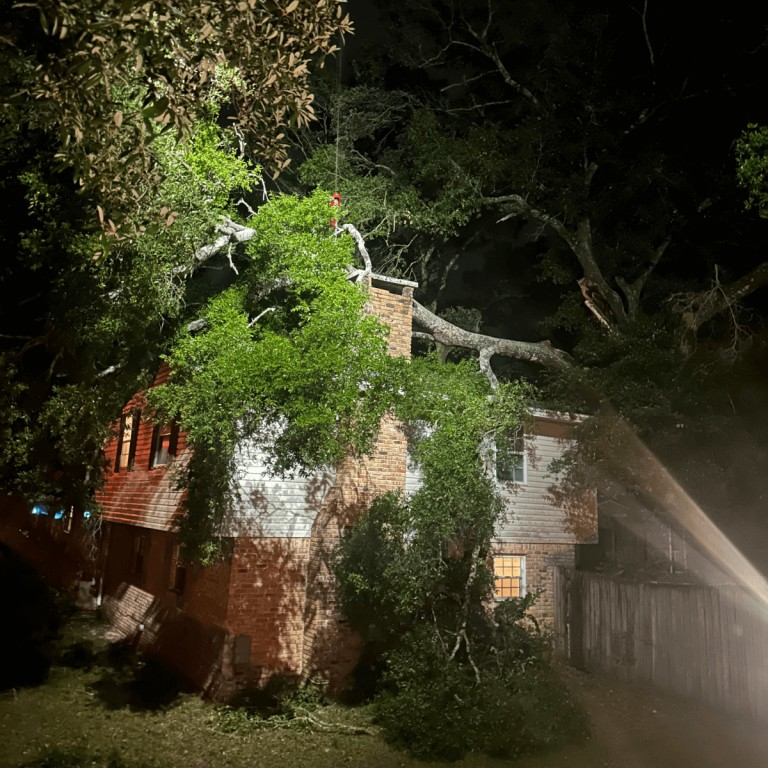 Tree Service Northwest Florida