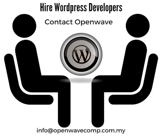 Hire our wordpress Website developers