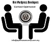 Hire our wordpress Website developers