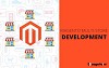 Magento Multi Store development