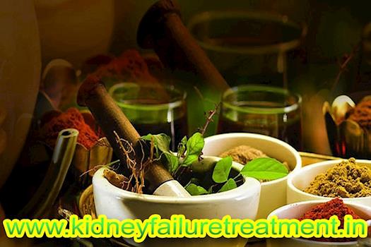 Ayurvedic treatment for kidney patients