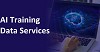 Reliable AI Training Data Services in India - EnFuse Solutions