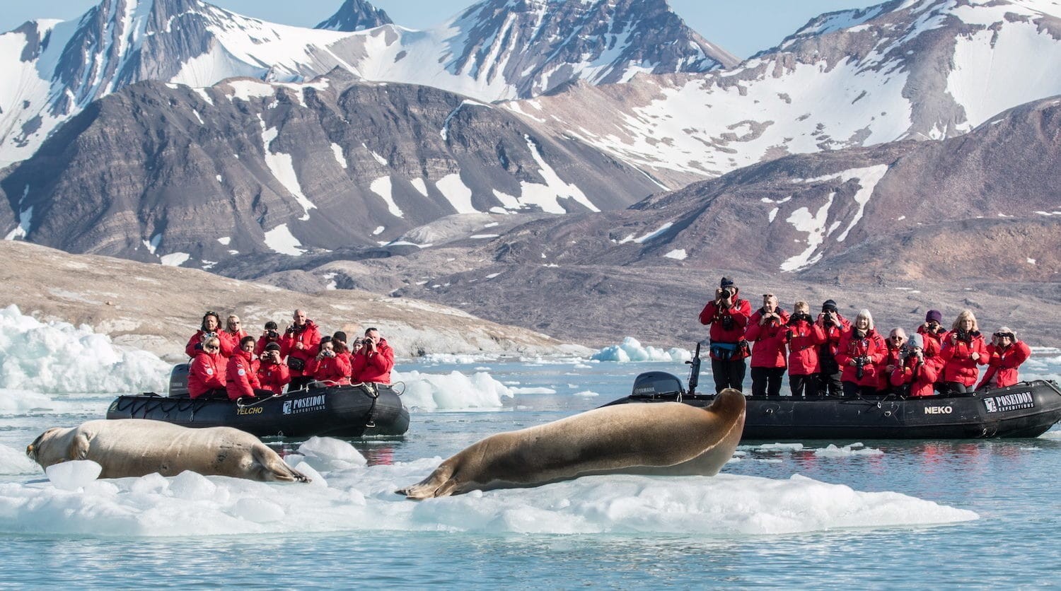 Book Your Svalbard Explorer Arctic Adventure – 10-Day Wildlife Expedition