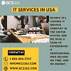 IT Services In USA