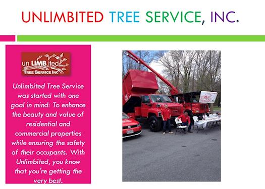 Best Tree Trimming Bowie, Tree Removal Bowie, Tree Service Bowie, Maryland