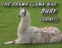Drama llama - pocketbinaries