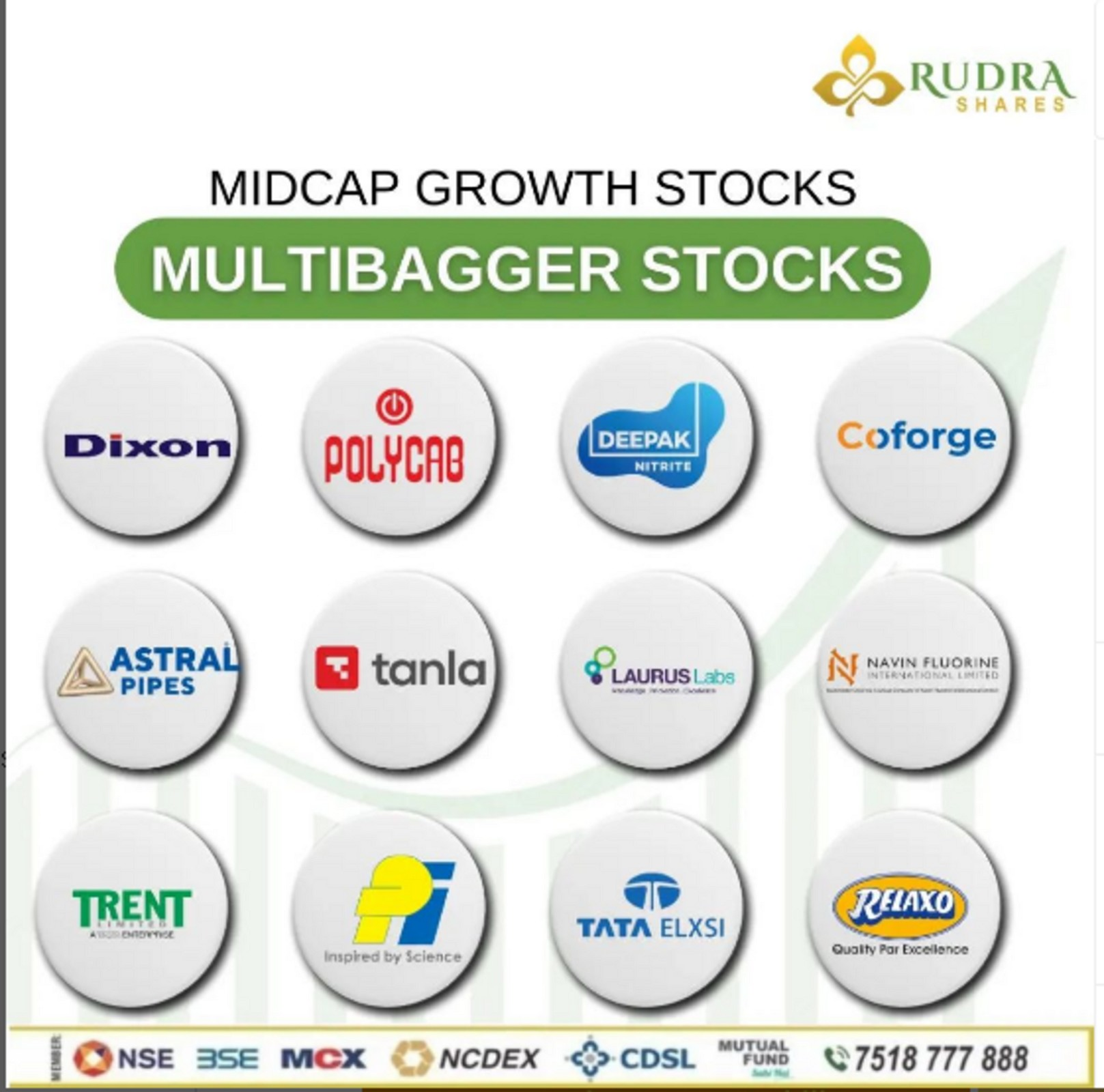MIDCAP GROWTH STOCKS