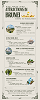Top Must-See Attractions in Brunei: Discover Its Stunning Beauty