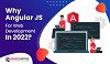 Top Angular JS For Web Development in Madurai - Amigoways