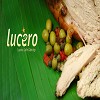 Lucero Latin Catering - Logo
