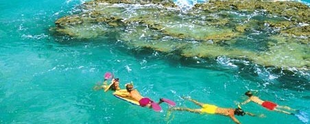 divers in bermuda