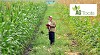 Best Agricultural Software Supplier | Agricultural account management Software