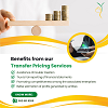 Benefits from our Transfer Pricing Services