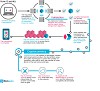 What is Ethereum? A Step-by-Step Beginners Guide