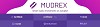 Mudrex-Algo Trading Platform