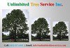 Millersville Tree Services, Tree Trimming, Tree Removal & Tree Care