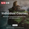 Individual Courses By M3DS Academy