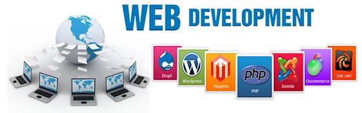 Customized Website Development for an Outstanding Presence