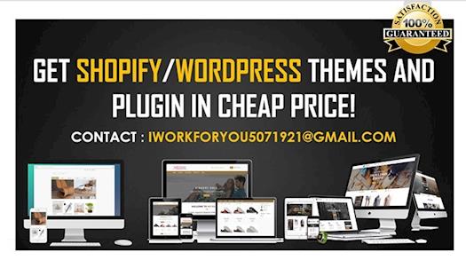 Would you like to buy a premium WordPress themes or plugin