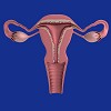 Understanding Uterus Removal Surgery Cost in Kolkata
