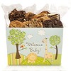 David's Cookies-Welcome Baby Box