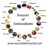 Sources Of Antioxidants