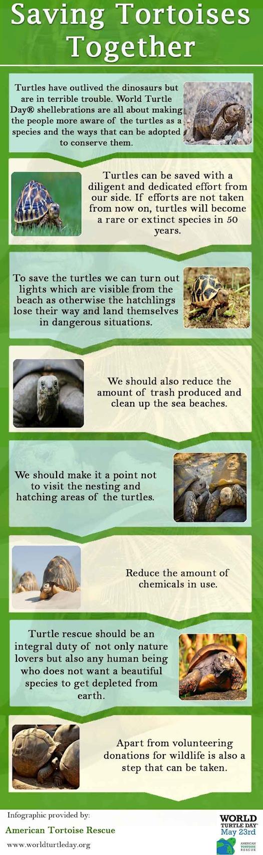 Saving Tortoises Together