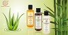  Buy SLS  Paraben Free Hair Care Products