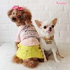 Irresistible Dog Clothes by Wooflink