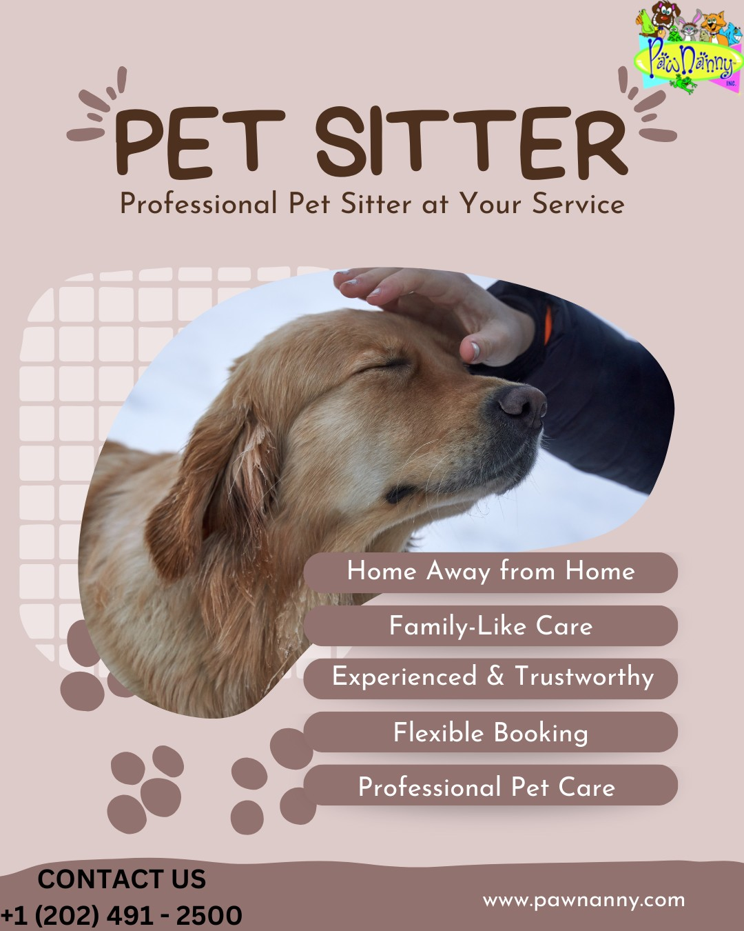 Pet House Sitting 