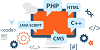 Web Development Services & Offshore Solutions