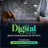 Ready to Reach the Top with Digital Marketing?