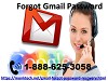 Ring at 1-888-625-3058 Forgot Gmail Password for Satisfactory Aid