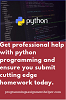 Python Programming Homework Help