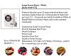 Commercial Food Dehydrator | Commercial Dehydrator