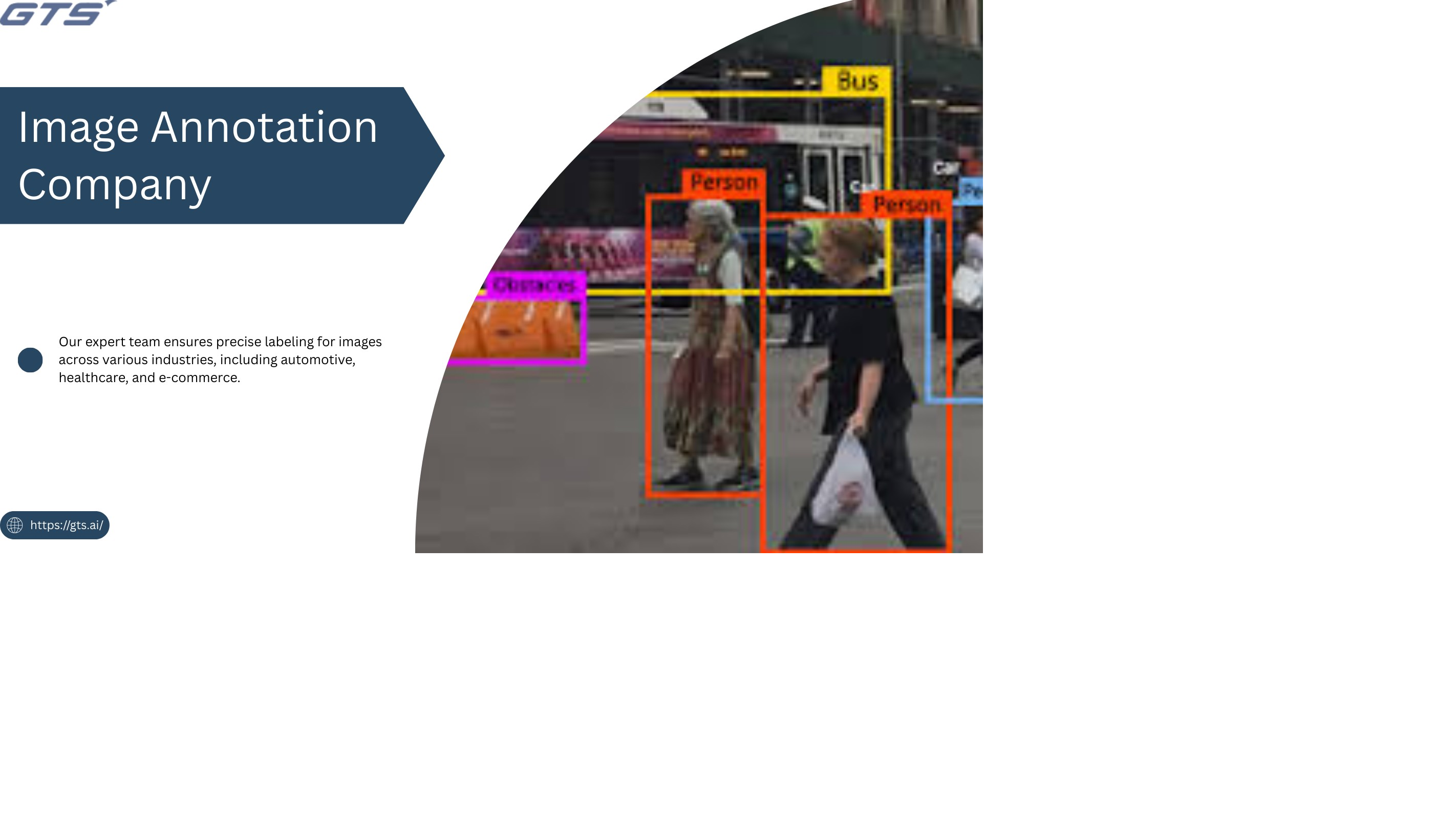 Title: Image Annotation Services Explained: Tools, Techniques & Use Cases