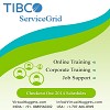 Tibco Servicegrid Online Training
